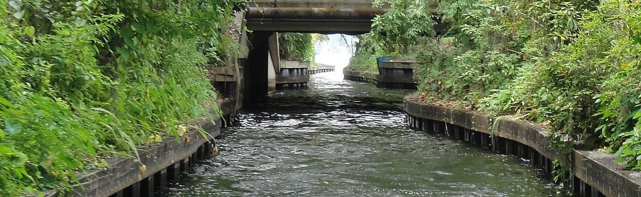 Image of Winter Park FL Canals from water