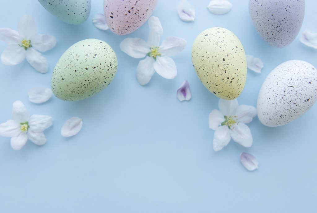 Top view of colorful easter eggs on blue background