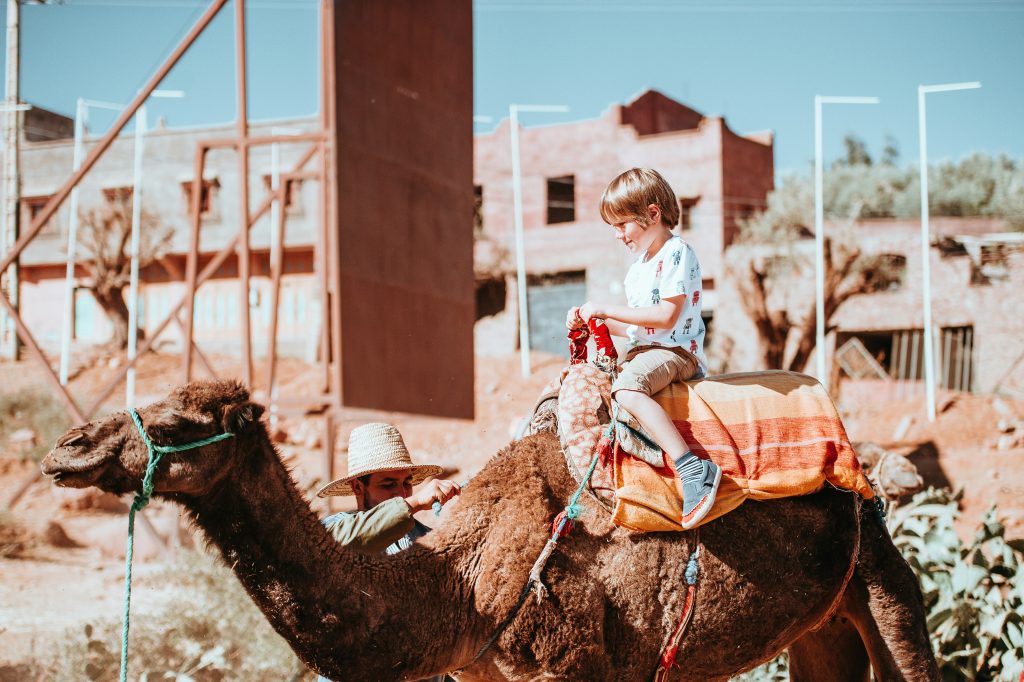 The Camel And The Baby
